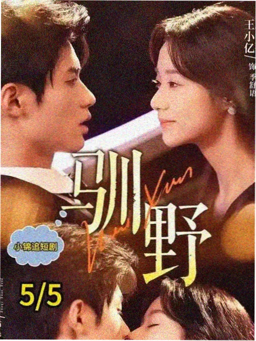 长夜列车续订资讯配图